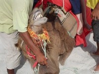 neuv��iteln� smrad z huby:)Nutno za��t