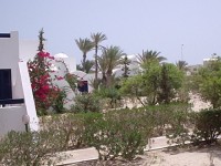 zahrada, ve kter� jsme bydleli