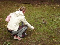 Oprskl� jak veverky