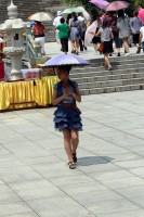 slune�n�ky, v�dy a v�ude