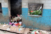 i takov� je ��na