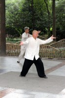 tai-chi v parku