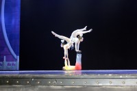 neuv��iteln� dovednosti ��nsk�ch akrobat�