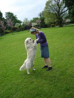 T�ikr�t denn� chod� Simb��ka ven�it a to b�hem pr�ce:)