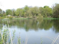 Zoo - africk� ��st