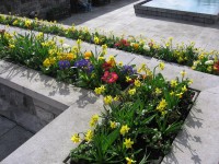 v Irsku za��n� jaro