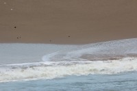 Tak schv�ln�, co to je?