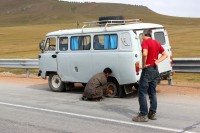 defekt - na m�stn�ch silnic�ch b�n� jev