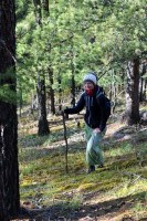 jeden z m�la les�k� kolem