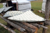 m�stn� speciality - v�e z ja��ho ml�ka