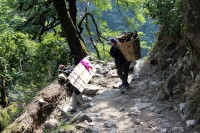 Drobn�j�� n�klady