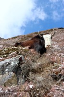 Kde se pasou? Kde se pasou?