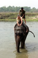 Koup�n� se slonem