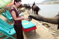 ban�nky to j� r�d