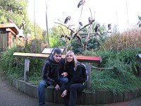 Zoo Lond�n