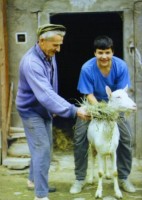  To �ert na koze jel ...