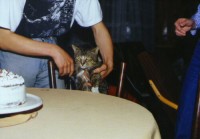  N� b�val� kocour. Byl velkej a skv�lej. Bohu�el se ztratil a pak u� jsme ho nevid�li