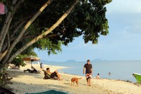 proch�zka po pl�i