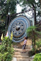 nejv�t�� gong Asie