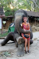 takhle vypad� slon� p��telstv�:)