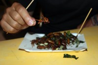 thajsk� speciality