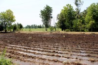 p�ipraveno na oset�