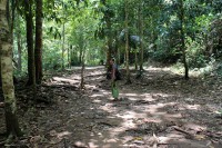 na proch�zce d�ungl�