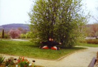  V botanick� zahrad�